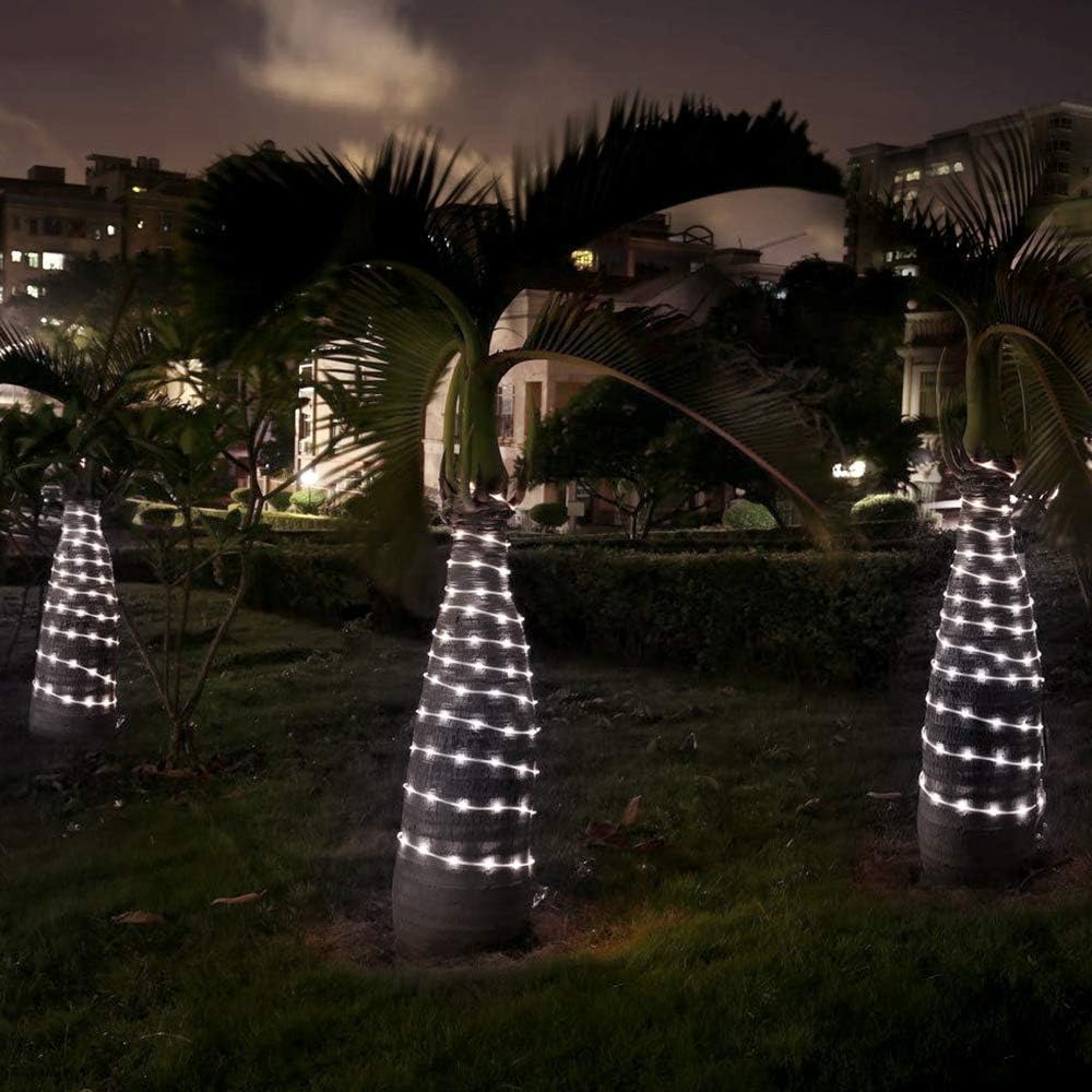Lepro Outdoor Rope Lights with Timer, Low Voltage, Waterproof Outdoor String Lights Plug in, 10m 100 LED 8 Modes Daylight White Light Rope, Suit for Christmas, Garden, Landscape Lighting and More