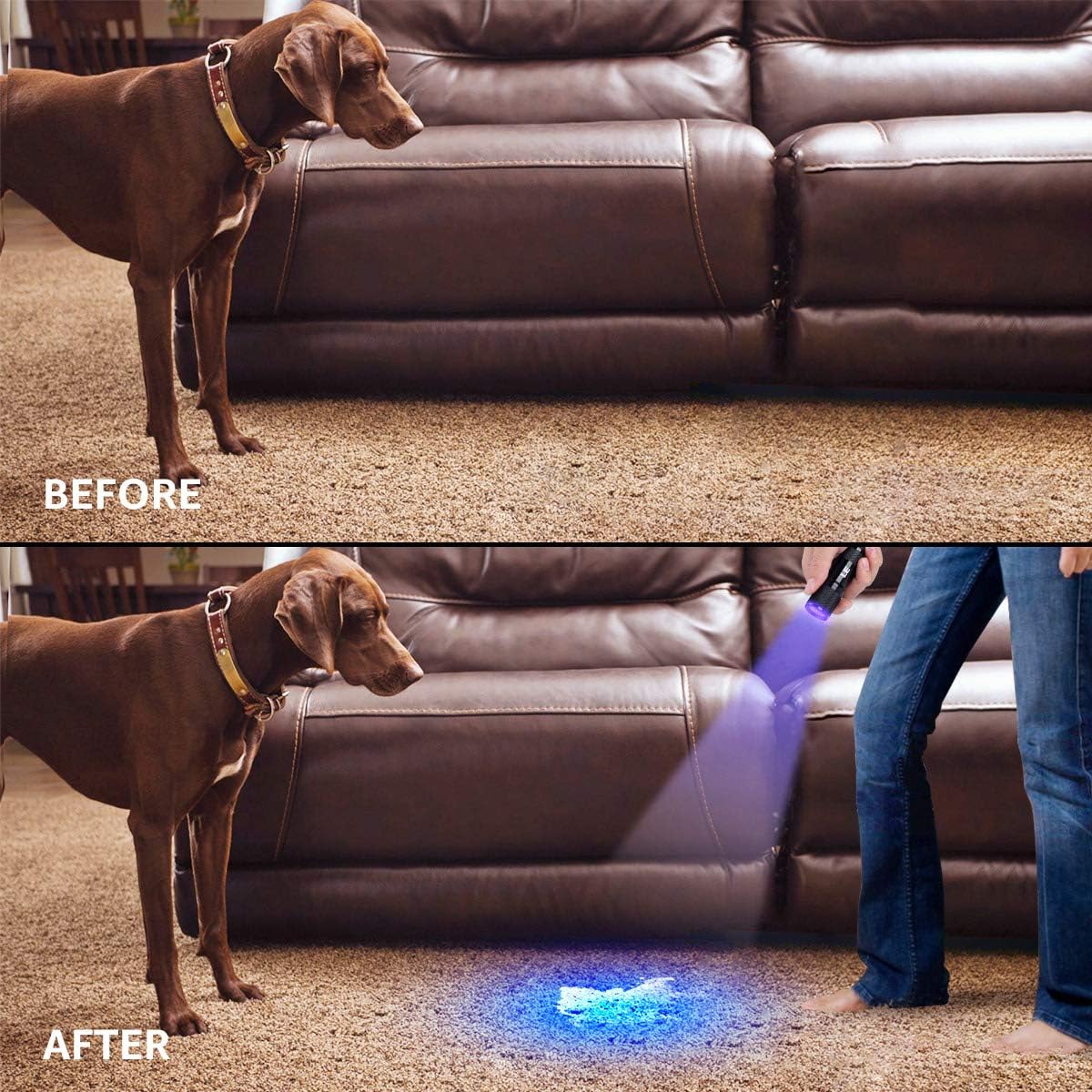 Lighting EVER Lepro LE UV Torch, 9 LED 395nm Ultraviolet Flashlight, Blacklight Detector for Pet Urine, Stain, Bed Bugs and More, 6 AAA Batteries Included