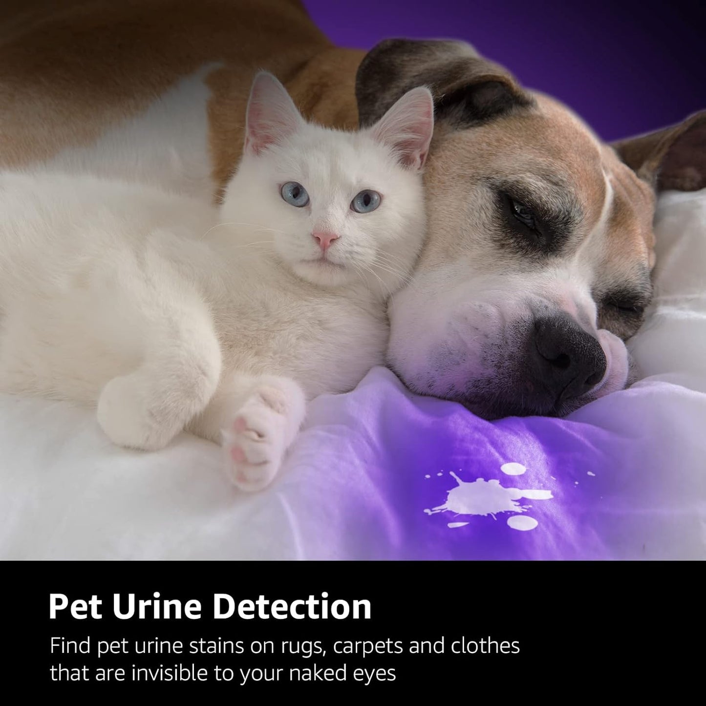 Lepro UV Torch, 51 LED UV Light Torch, 395nm Ultraviolet Flashlight, Blacklight Detector for Pet Urine, Stain, Bed Bugs, Banknote and More