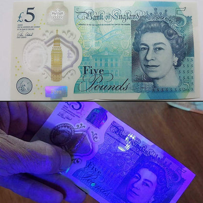 Lighting EVER Lepro LE UV Torch, 9 LED 395nm Ultraviolet Flashlight, Blacklight Detector for Pet Urine, Stain, Bed Bugs and More, 6 AAA Batteries Included